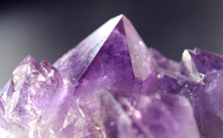 Solstizio d’inverno: Reni e Vescica in Medicina Tradizionale Cinese (per persone e animali)